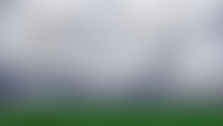 Nederlands Kustpad 2025/Teil 2 von Lauwersoog bis Heemskerkerduin