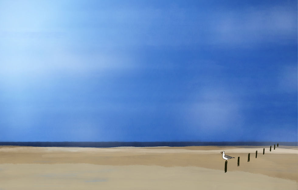 Nederlands Kustpad 2025/Teil 4 von Brielle bis Sluis