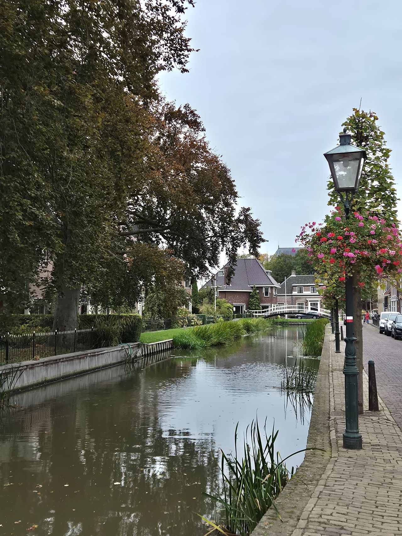 Maasland