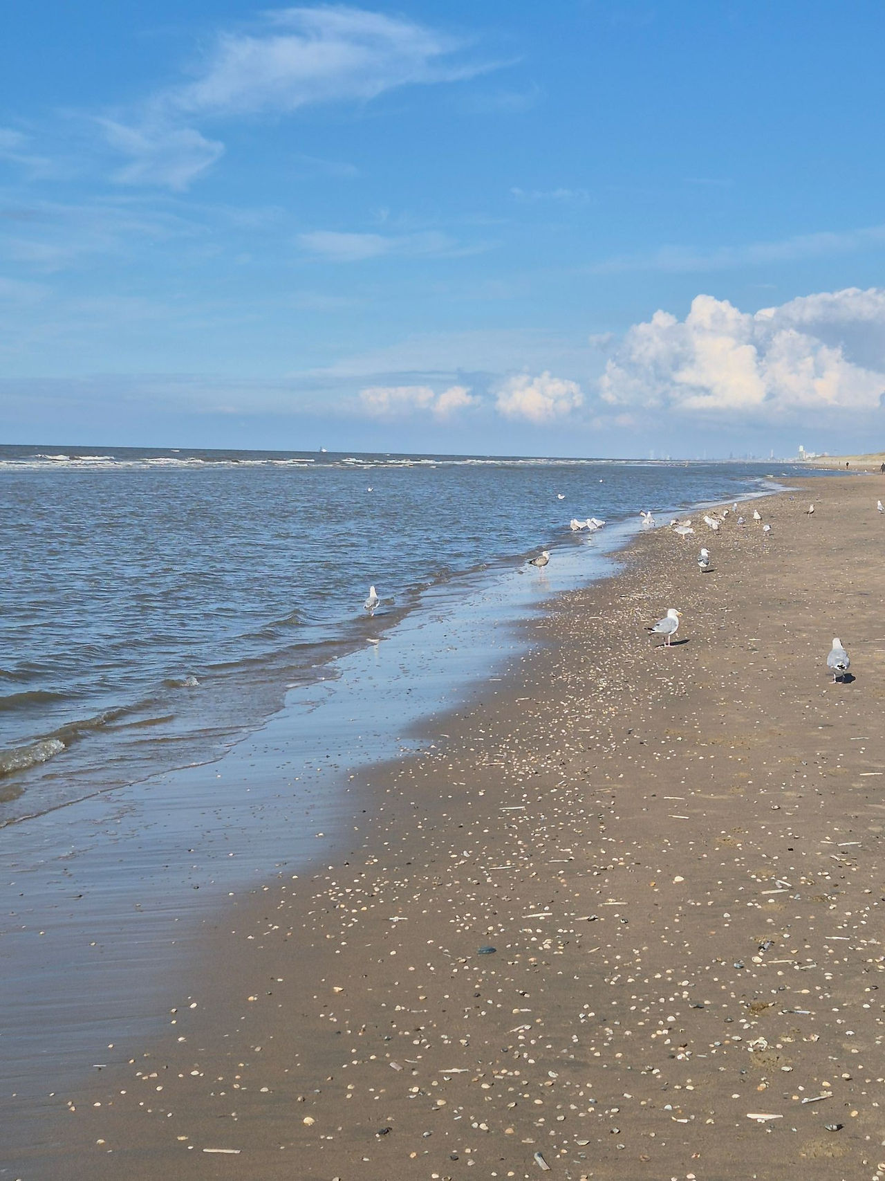 Und mal wieder am Meer entlang