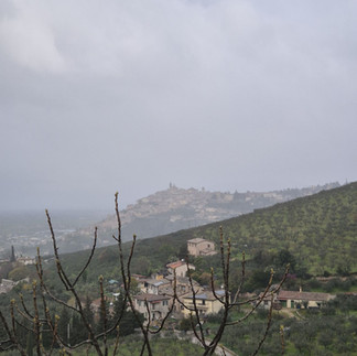 Blick zurück nach Trevi