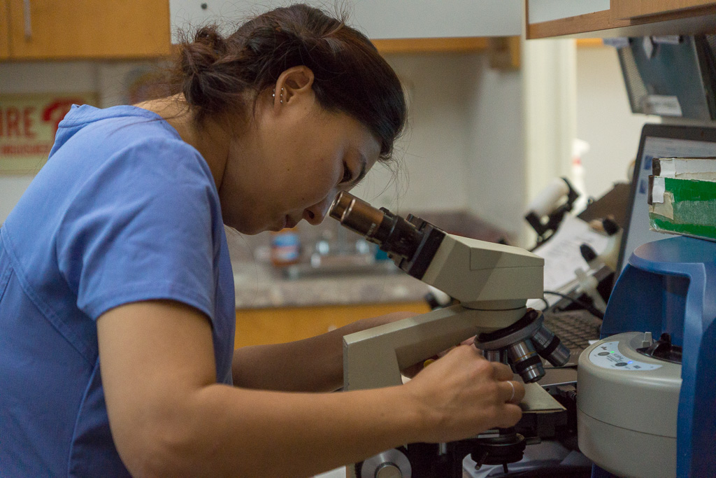 baldwin park veterinary