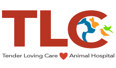 Tender Loving Care Animal Hospital