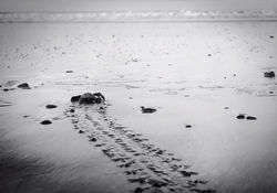 14570476_1222107191189715_2356077361147959615_n_edited