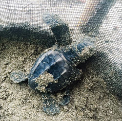 15203151_1250716268328807_4408253141479049586_n_edited