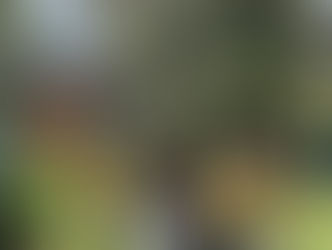 ENCUENTRO EN EL FILO