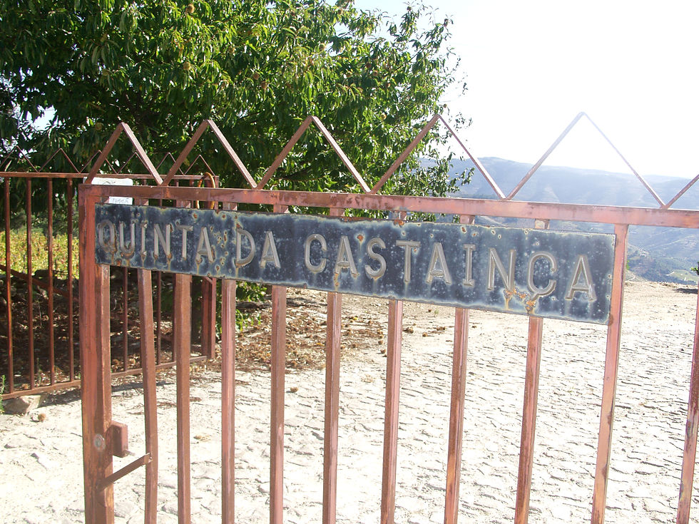 Entrada da Quinta da Castaínça