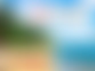 Sunny beach with palm trees and blue sea. Text reads "Air Canada Vacations" and "Sweet sun savings." Clear sky and tropical vibes.