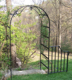 Garden Trellis