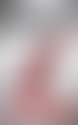 BOOK REVIEW: THE BOYFRIEND