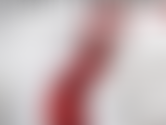 BOOK REVIEW: THE BOYFRIEND