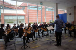 Patrick Feely Community Guitar Orchestras.jpg