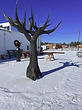 tree_edited.jpg