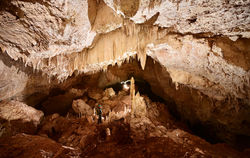 WaspInEyeCave3