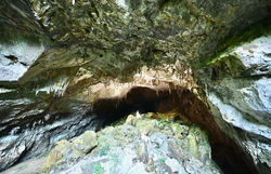 WaspInEyeCave2