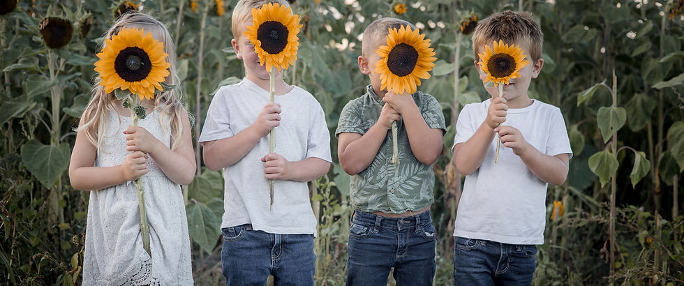 Sunflower Kids on the Farm