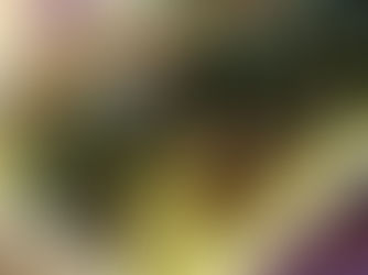 Spaghetti Squash Gratin with Kale and Italian Sausage