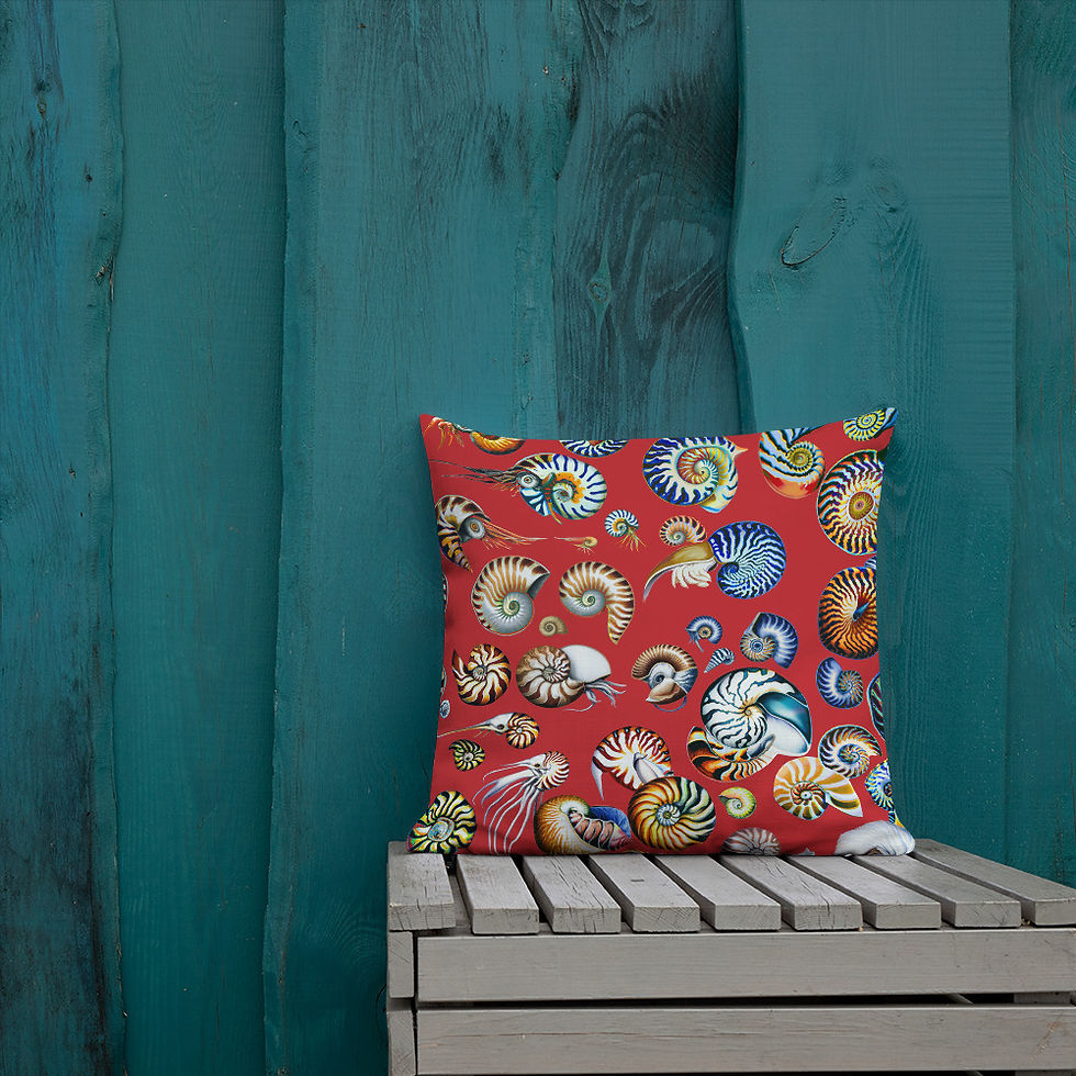 Thumbnail: Deco Cushion Nautilus