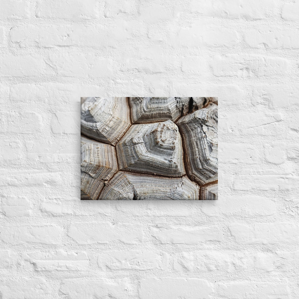 Thumbnail: Wall Art Dioscorea