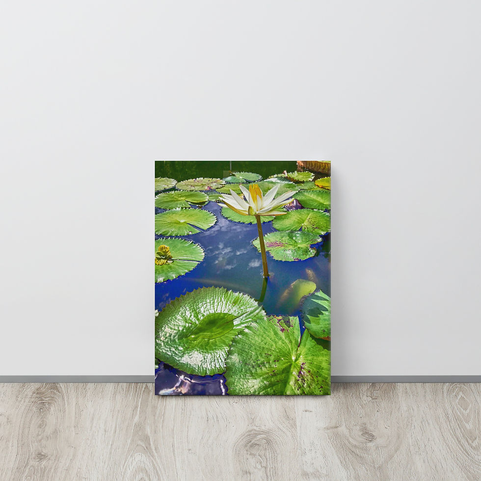 Thumbnail: Wall Art Lotus Flower