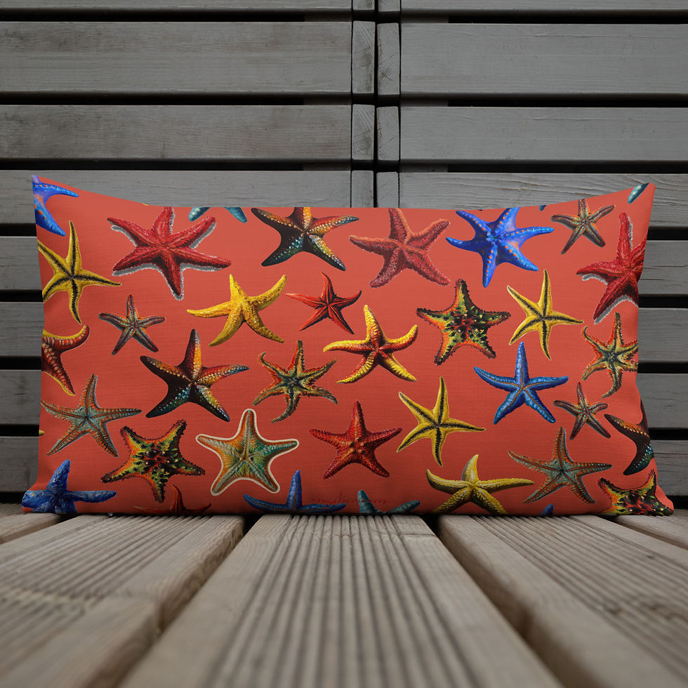 Thumbnail: Deco Cushion Starfish