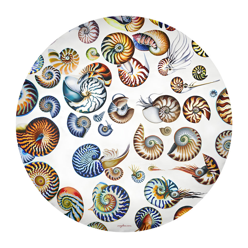 Tischtuch Nautilus