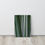 Miniaturbild: Wandbild Agave