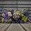 Thumbnail: Deco Cushion Corals