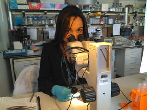 A história da Isaura, investigadora de volta à base