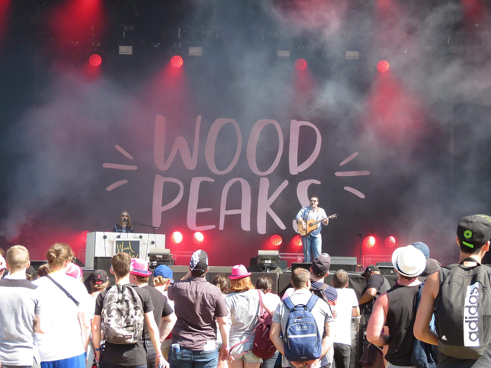 Wood Peaks Rock in evreux 2019 photo coline lfvre