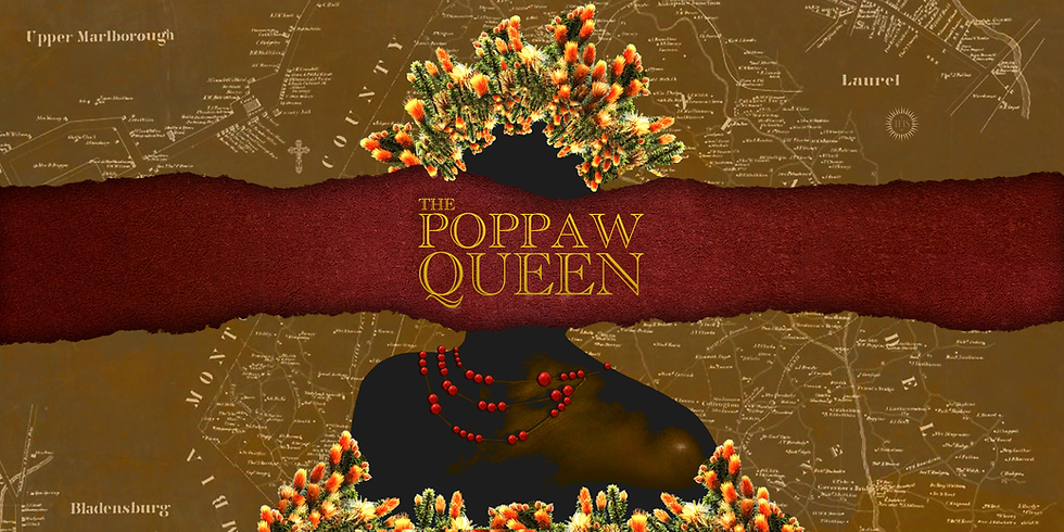 TPQ Website Banner.png