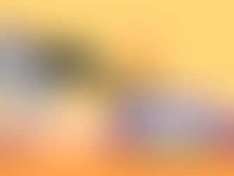 PSYCHEDELIC SEXUAL EXPERIENCE & SACRED PLEASURE: A JOURNEY INTO ECSTACY & EXPANSION