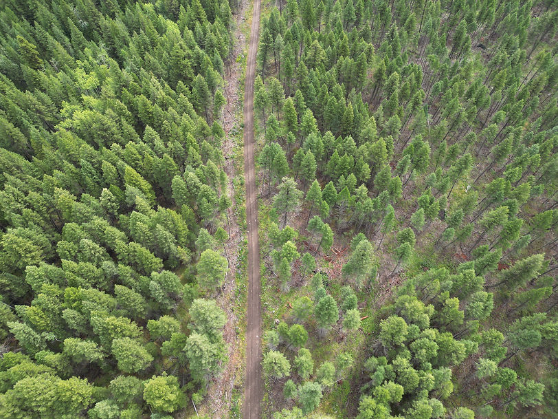 dji_fly_20240730_112232_162_1722375209510_photo.JPG