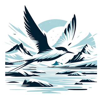 2. Arctic Tern.png