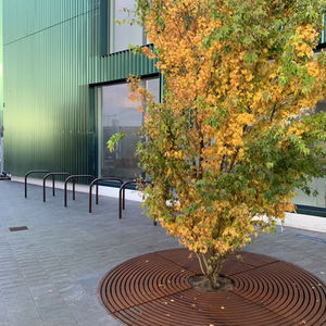 London Design District- Greenwich