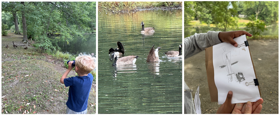 Children observing and drawing the geese. Why are they upside down?