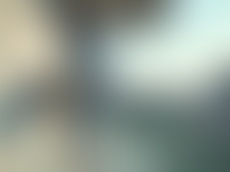 Redes para ventanas seguras: Protección total para balcones y ventanas