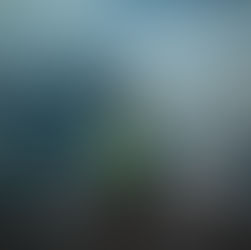 “They teach us how to wait not how to be single.”