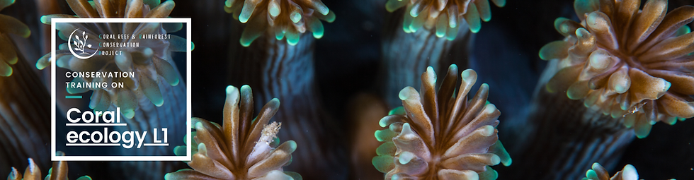 Coral ecology L1.png