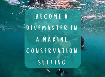 Divemaster.png