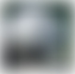 18 - THE COST OF LEADING