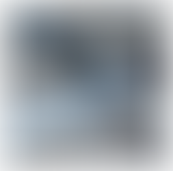 28 – ACCESSIBLE MANAGEMENT