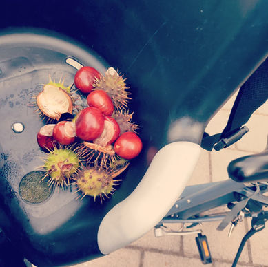 סתיו וערמונים, 19 בספטמבר 2021