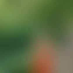 למצוא את השקט בפנים למצוא את השקט בחוץ, 9 ליולי 2021