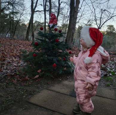 קריסמס בהולנד הסגורה, דצמבר 2020