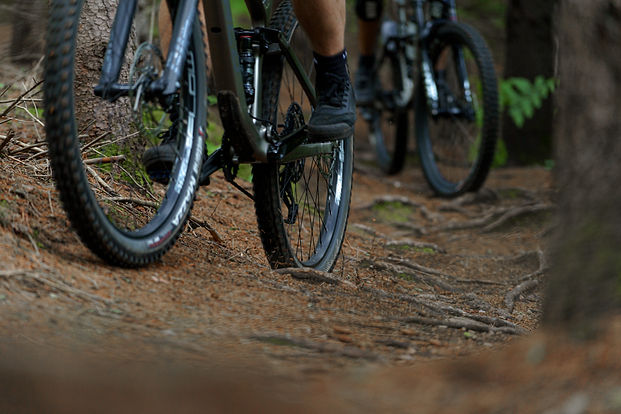 Mountain Bike Forest Lea