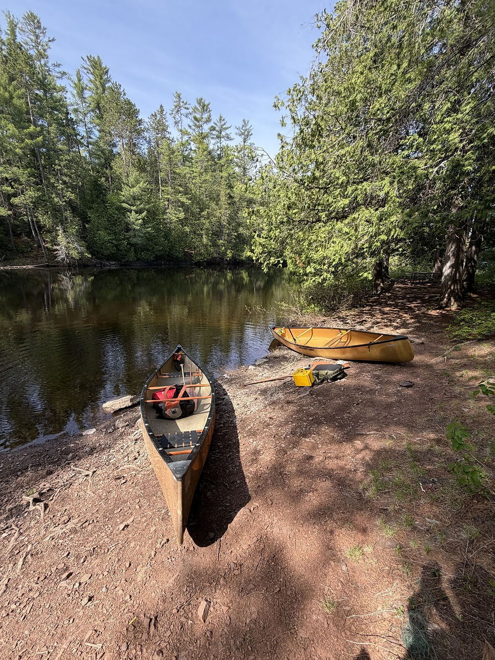 Two canoes on a quiet forest lake shore, with backpacks under tall trees on a sunny day.