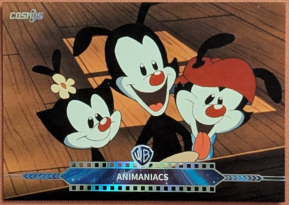 Thumbnail: 2024 Kakawow Cosmos Warner Bros WB 100th Final Frames CWQ-F-115 Animaniacs