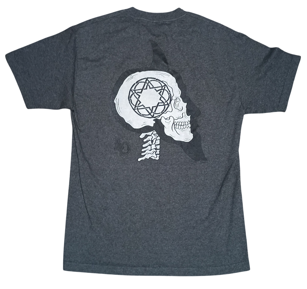 Loyal Order Possible Muslimgauze Jerusalaam? Mens Large Grey T-Shirt