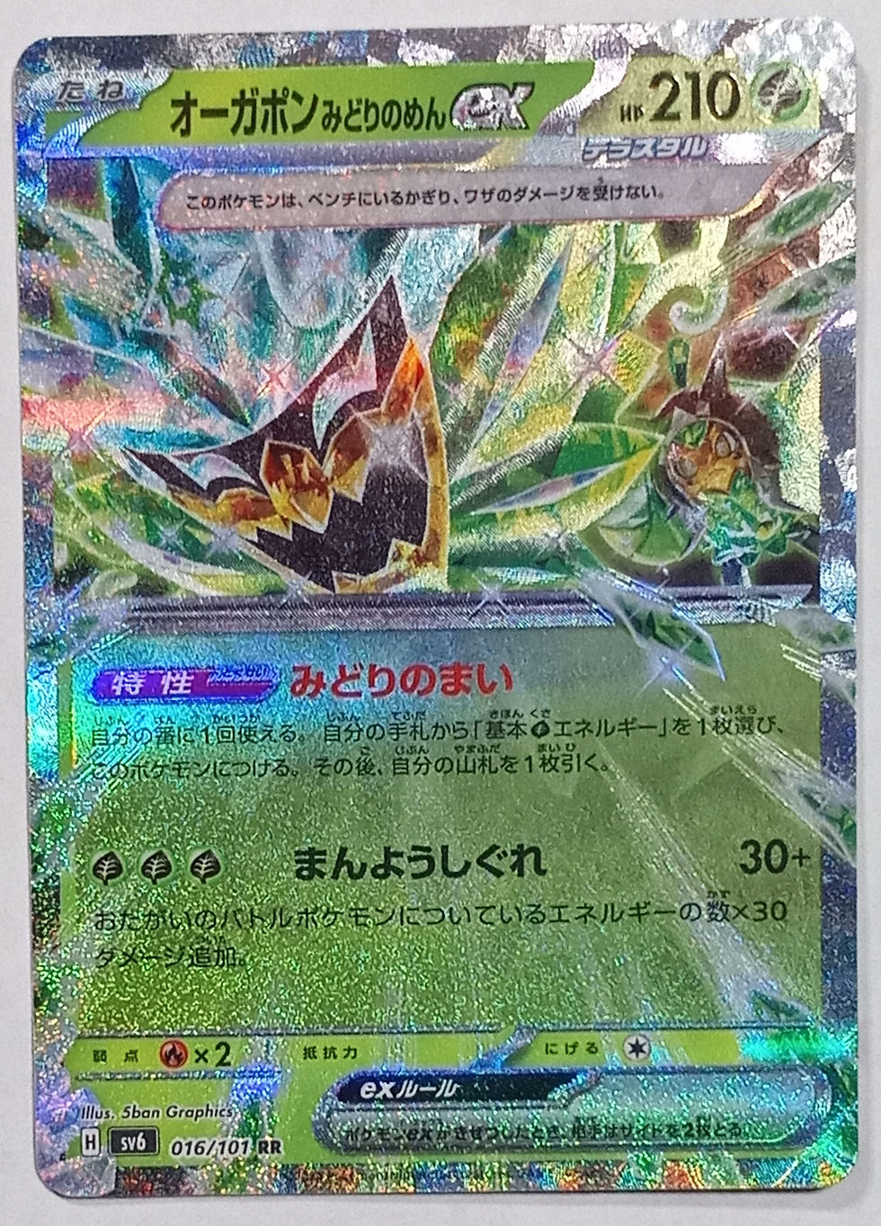 2024 Pokemon Japanese Teal Mask Ogerpon ex 016/101 RR Mask Of Change